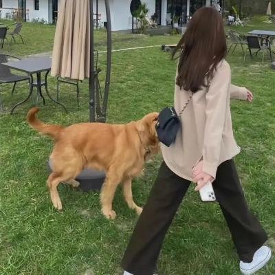 神魂颠倒